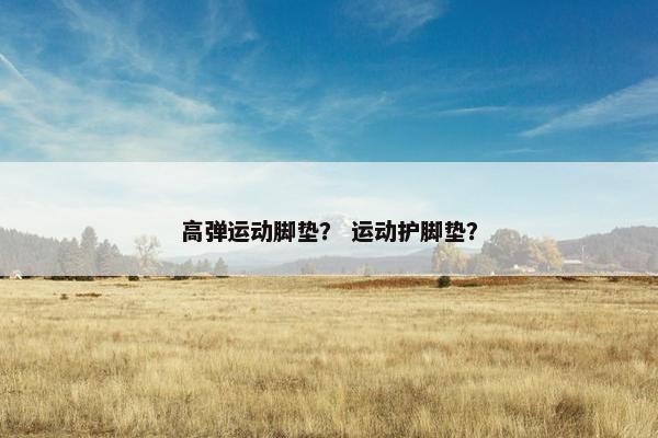 高弹运动脚垫？ 运动护脚垫？