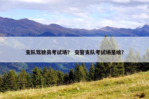 支队驾驶员考试场？ 交警支队考试场是啥？