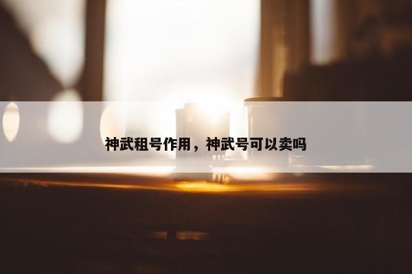 神武租号作用，神武号可以卖吗