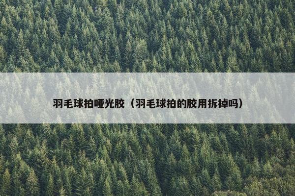 羽毛球拍哑光胶（羽毛球拍的胶用拆掉吗）
