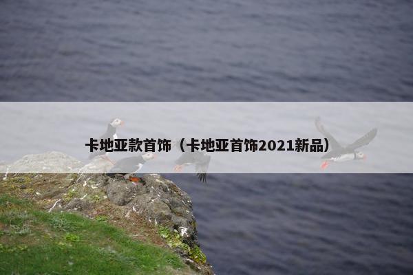 卡地亚款首饰（卡地亚首饰2021新品）
