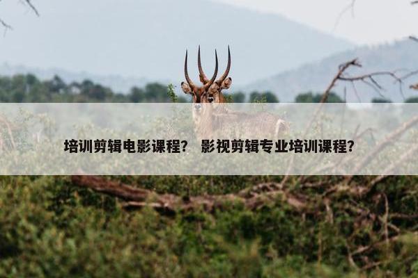 培训剪辑电影课程？ 影视剪辑专业培训课程？