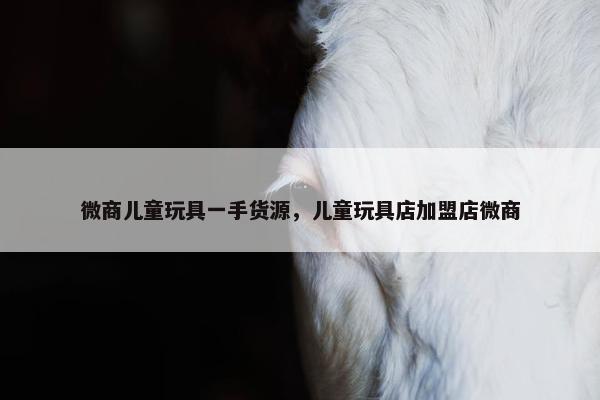 微商儿童玩具一手货源，儿童玩具店加盟店微商