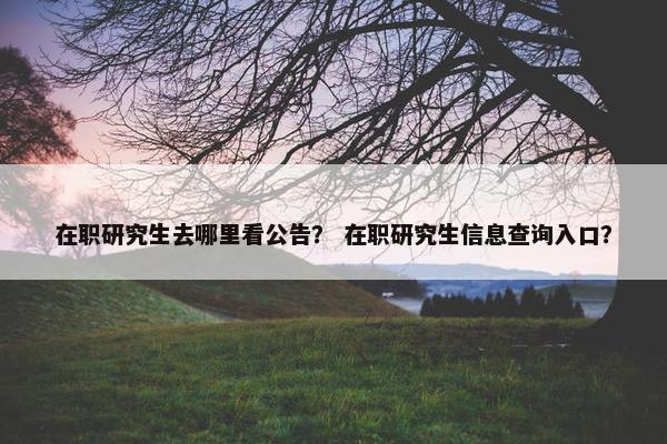 在职研究生去哪里看公告？ 在职研究生信息查询入口？