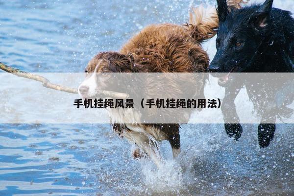 手机挂绳风景（手机挂绳的用法）