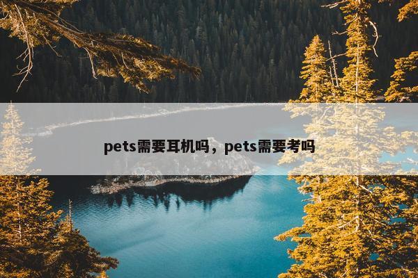 pets需要耳机吗，pets需要考吗