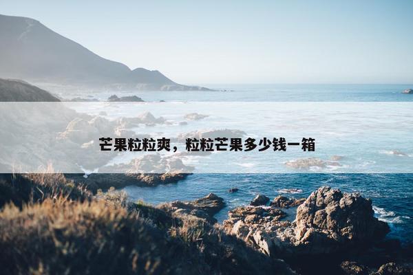芒果粒粒爽，粒粒芒果多少钱一箱