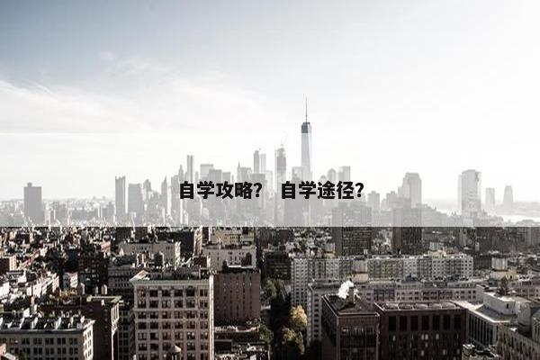 自学攻略？ 自学途径？