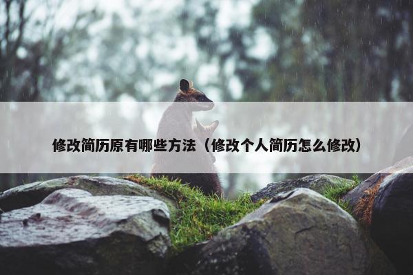 修改简历原有哪些方法（修改个人简历怎么修改）