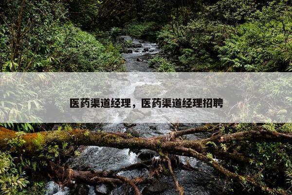 医药渠道经理，医药渠道经理招聘