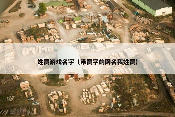 姓贾游戏名字（带贾字的网名我姓贾）