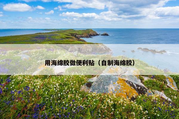 用海绵胶做便利贴（自制海绵胶）
