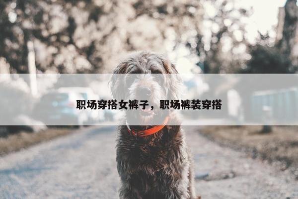 职场穿搭女裤子，职场裤装穿搭