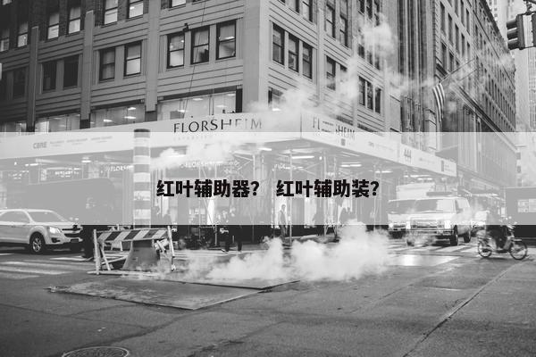 红叶辅助器？ 红叶辅助装？