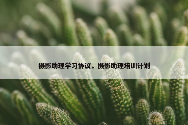摄影助理学习协议，摄影助理培训计划