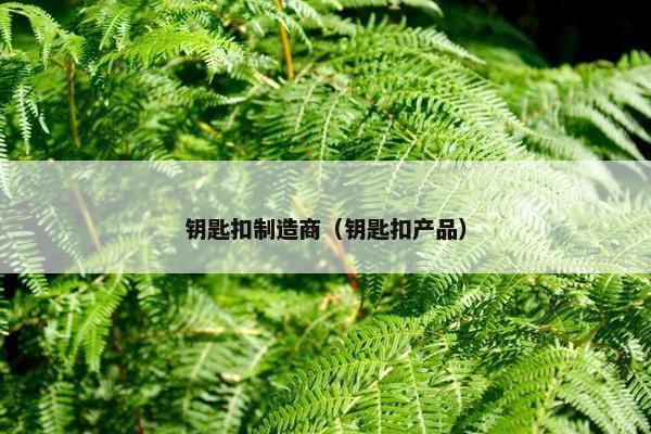 钥匙扣制造商（钥匙扣产品）