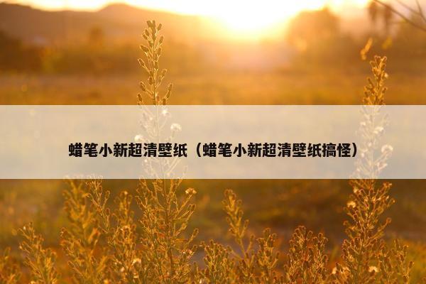 蜡笔小新超清壁纸（蜡笔小新超清壁纸搞怪）