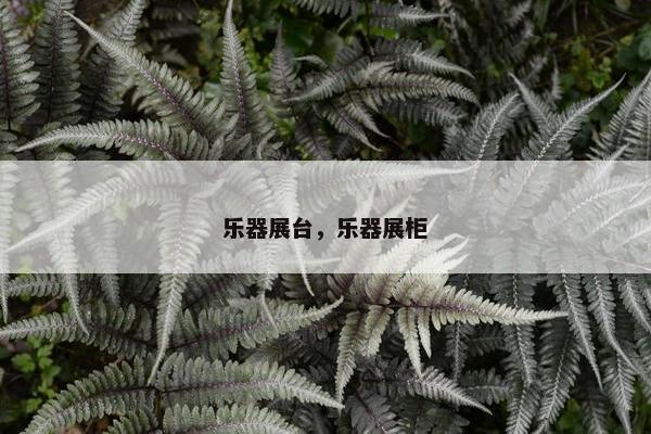 乐器展台，乐器展柜