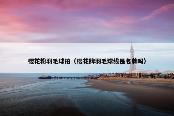 樱花粉羽毛球拍（樱花牌羽毛球线是名牌吗）