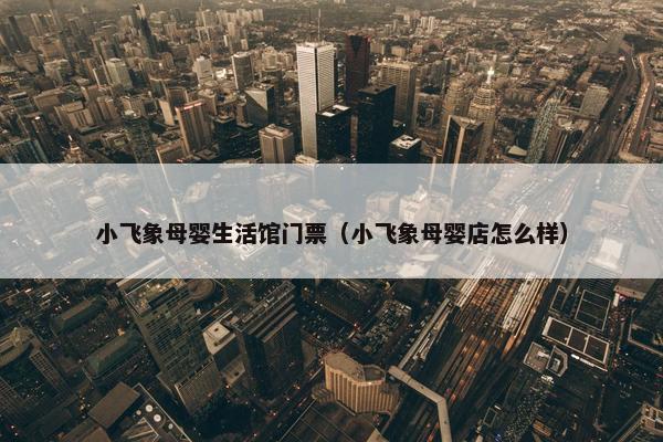 小飞象母婴生活馆门票（小飞象母婴店怎么样）