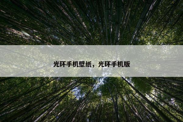 光环手机壁纸，光环手机版