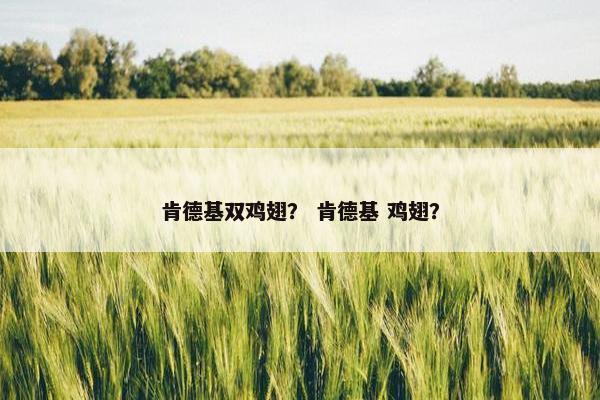 肯德基双鸡翅？ 肯德基 鸡翅？