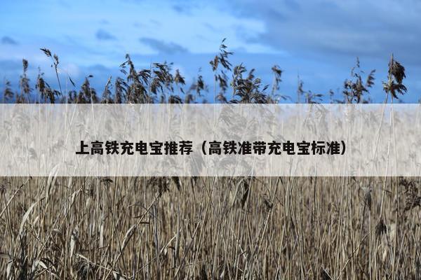 上高铁充电宝推荐（高铁准带充电宝标准）