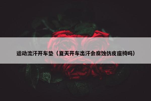 运动流汗开车垫（夏天开车出汗会腐蚀仿皮座椅吗）