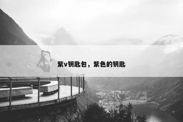 紫v钥匙包，紫色的钥匙