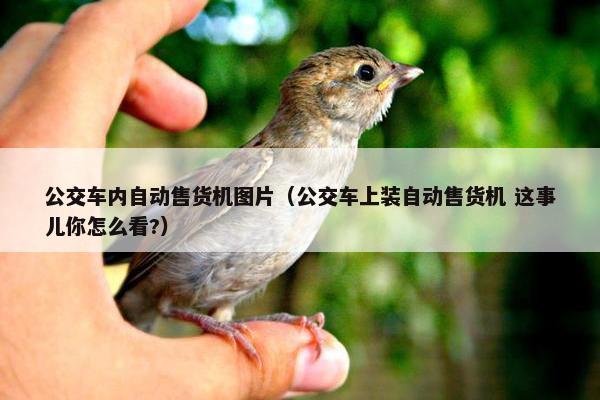 公交车内自动售货机图片（公交车上装自动售货机 这事儿你怎么看?）