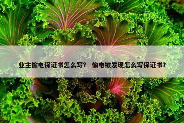 业主偷电保证书怎么写？ 偷电被发现怎么写保证书？