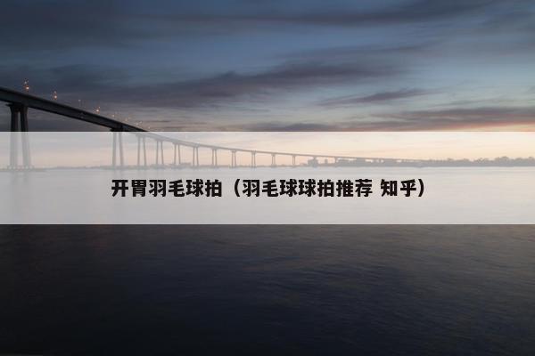 开胃羽毛球拍（羽毛球球拍推荐 知乎）