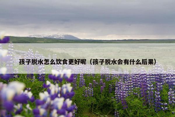 孩子脱水怎么饮食更好呢（孩子脱水会有什么后果）
