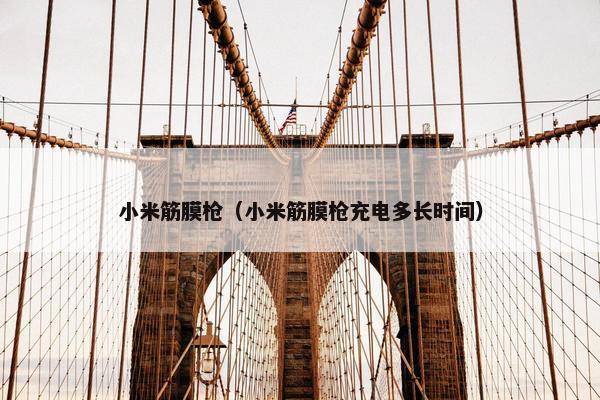 小米筋膜枪（小米筋膜枪充电多长时间）