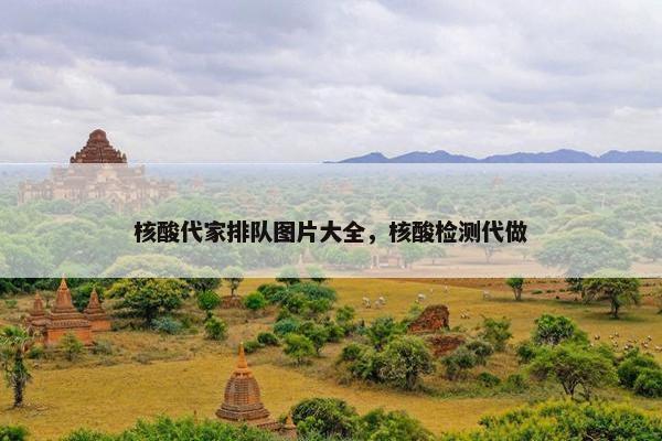 核酸代家排队图片大全，核酸检测代做