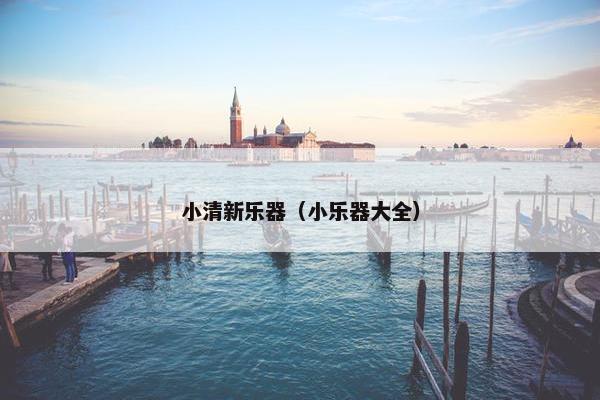 小清新乐器（小乐器大全）