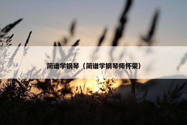 简谱学钢琴（简谱学钢琴师怀荣）