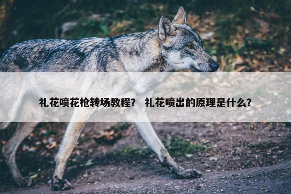 礼花喷花枪转场教程？ 礼花喷出的原理是什么？
