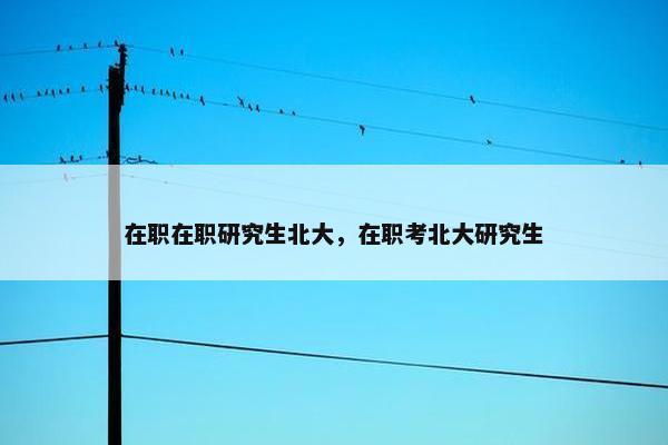在职在职研究生北大，在职考北大研究生