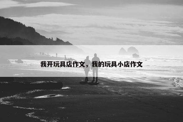 我开玩具店作文，我的玩具小店作文