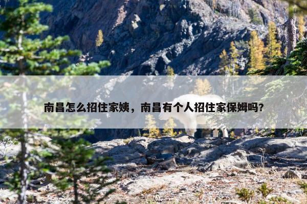 南昌怎么招住家姨，南昌有个人招住家保姆吗?