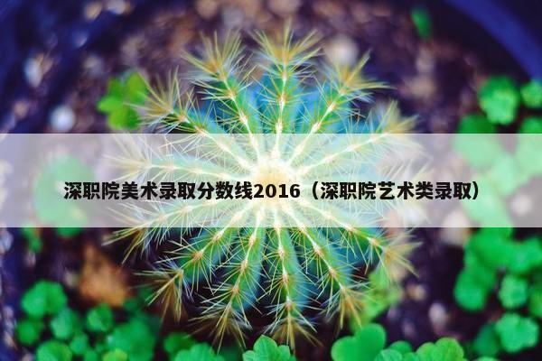深职院美术录取分数线2016（深职院艺术类录取）