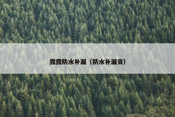 露露防水补漏（防水补漏膏）
