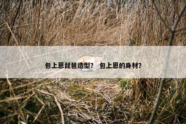包上恩琵琶造型？ 包上恩的身材？