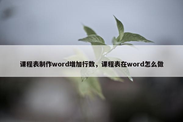 课程表制作word增加行数，课程表在word怎么做