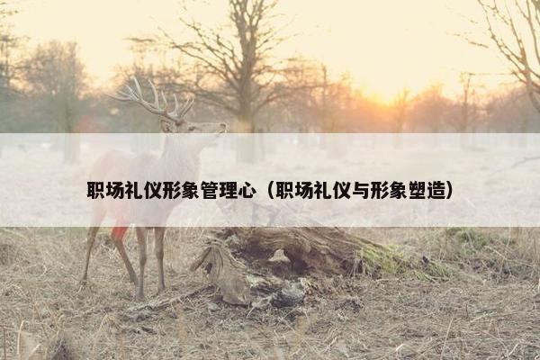 职场礼仪形象管理心（职场礼仪与形象塑造）