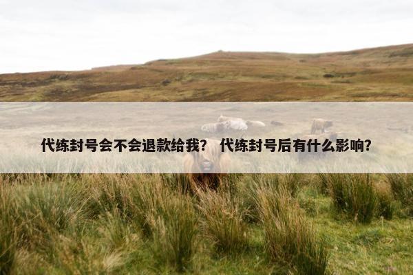 代练封号会不会退款给我？ 代练封号后有什么影响？