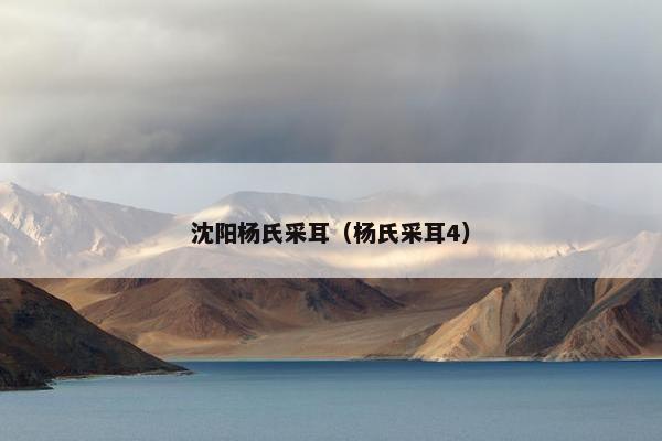 沈阳杨氏采耳（杨氏采耳4）