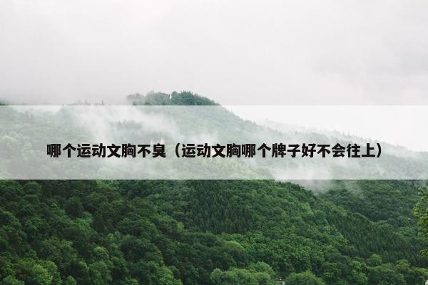 哪个运动文胸不臭（运动文胸哪个牌子好不会往上）