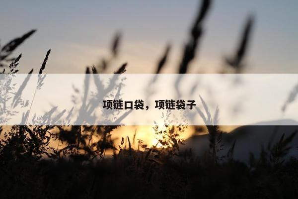 项链口袋，项链袋子